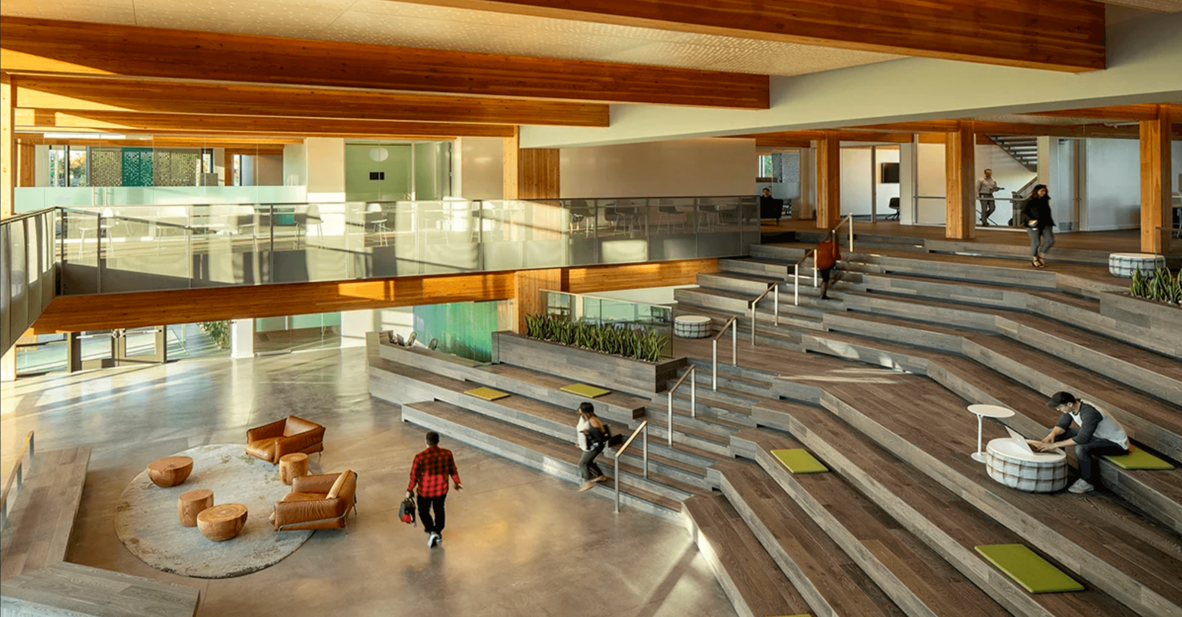 Mass Timber Poised to Dominate the Sustainable Construction Industry